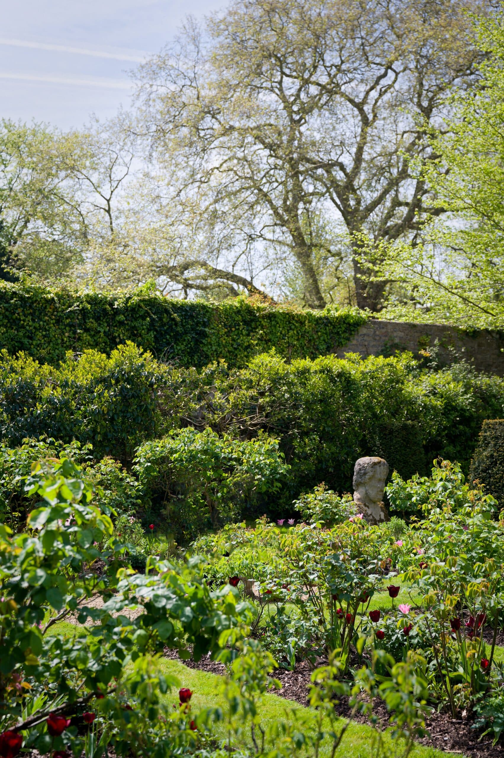 Rose garden